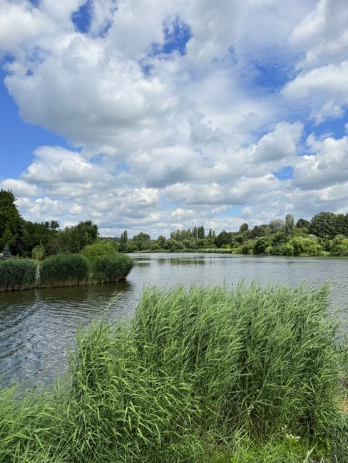 An aerial view of a wetland area near Barnes, showing a large pond with an irregular shape, small islands, and surrounding greenery. The pond features a central circular island and smaller patches of 